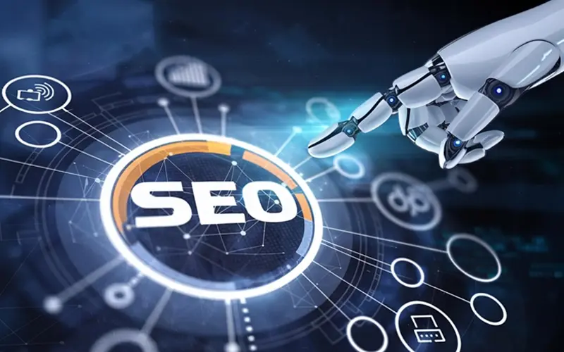 SEO & Analytics